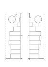 population pyramid Lelystad